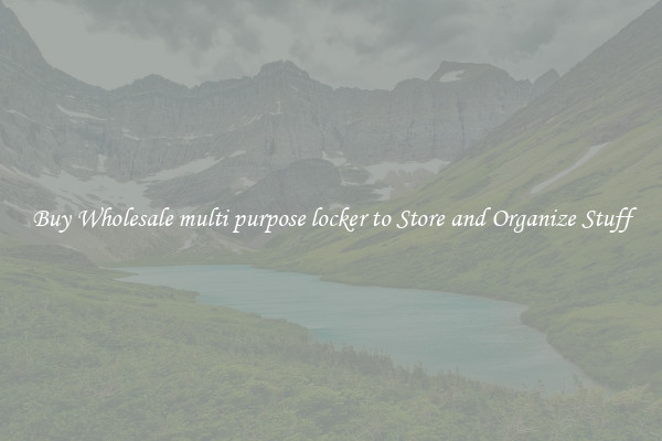 Buy Wholesale multi purpose locker to Store and Organize Stuff