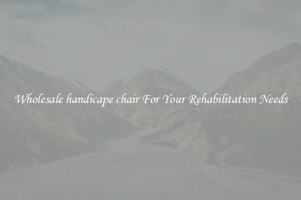 Wholesale handicape chair For Your Rehabilitation Needs