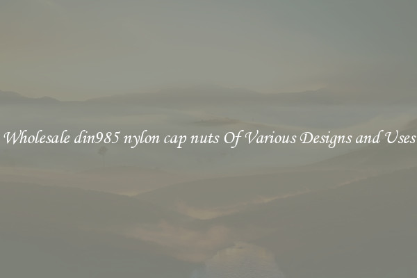 Wholesale din985 nylon cap nuts Of Various Designs and Uses