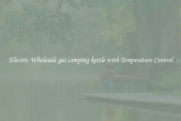 Electric Wholesale gas camping kettle with Temperature Control