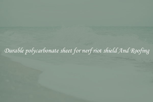 Durable polycarbonate sheet for nerf riot shield And Roofing