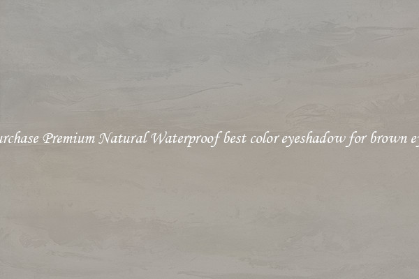 Purchase Premium Natural Waterproof best color eyeshadow for brown eyes