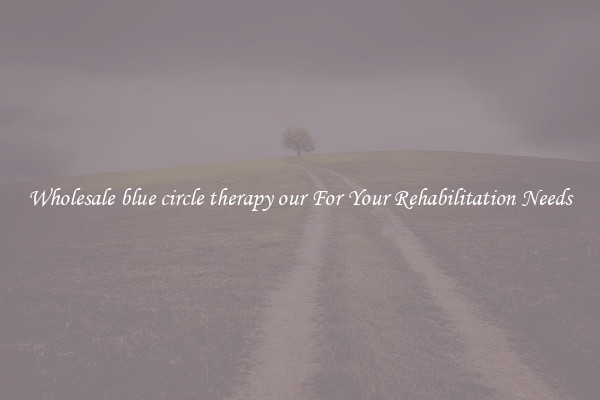 Wholesale blue circle therapy our For Your Rehabilitation Needs