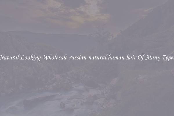 Natural Looking Wholesale russian natural human hair Of Many Types