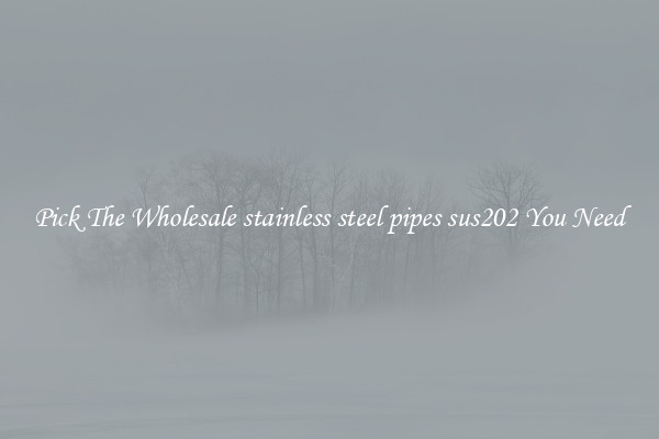 Pick The Wholesale stainless steel pipes sus202 You Need