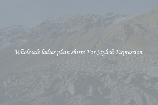 Wholesale ladies plain shirts For Stylish Expression 