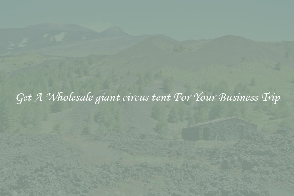 Get A Wholesale giant circus tent For Your Business Trip