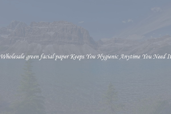 Wholesale green facial paper Keeps You Hygienic Anytime You Need It