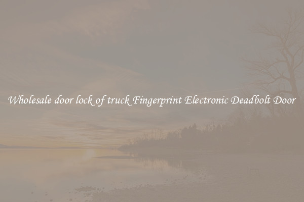 Wholesale door lock of truck Fingerprint Electronic Deadbolt Door 
