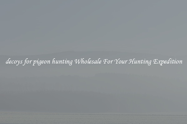 decoys for pigeon hunting Wholesale For Your Hunting Expedition